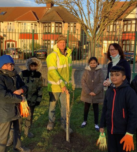 Tree planting website