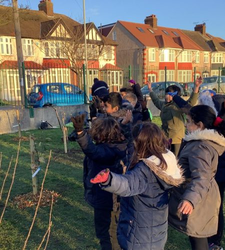 Tree planting website