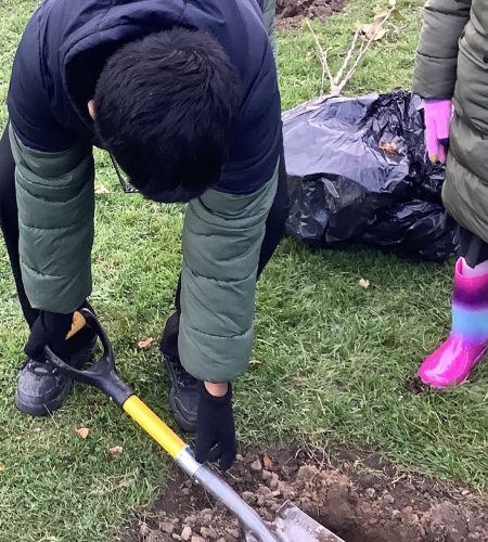 tree planting website 3